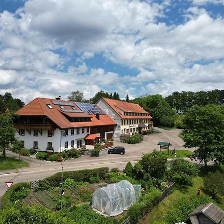Dachsberg im SchwarzwaldHaus Schlageter公寓 外观 照片