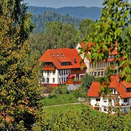 Dachsberg im SchwarzwaldHaus Schlageter公寓 外观 照片