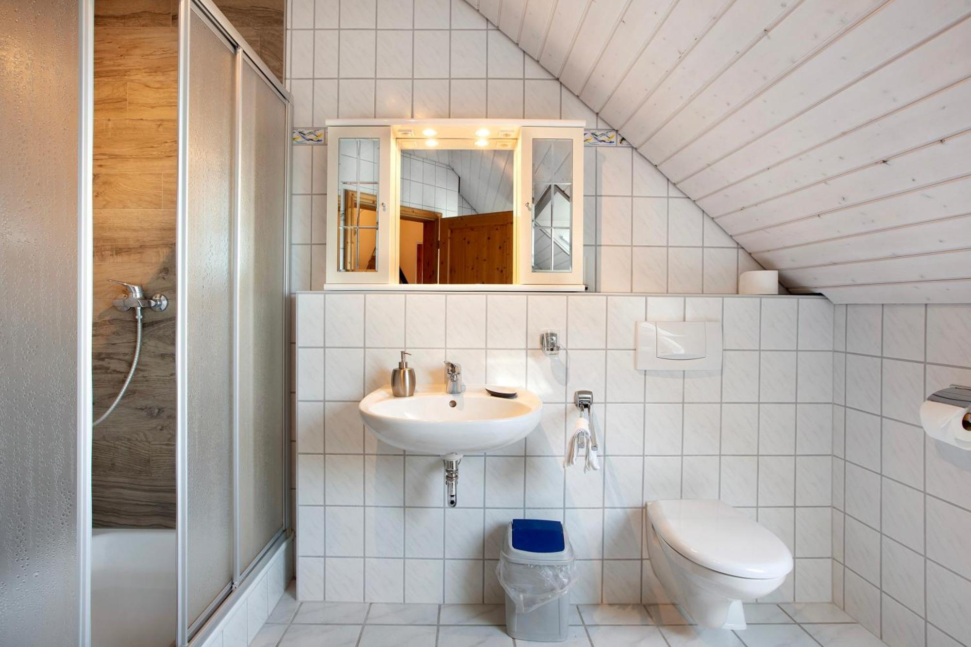 Dachsberg im SchwarzwaldHaus Schlageter公寓 外观 照片