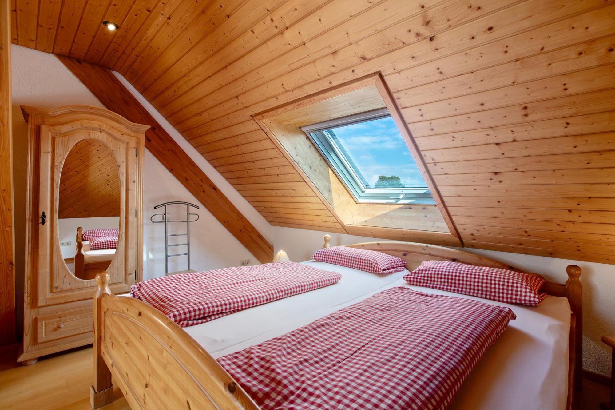 Dachsberg im SchwarzwaldHaus Schlageter公寓 外观 照片