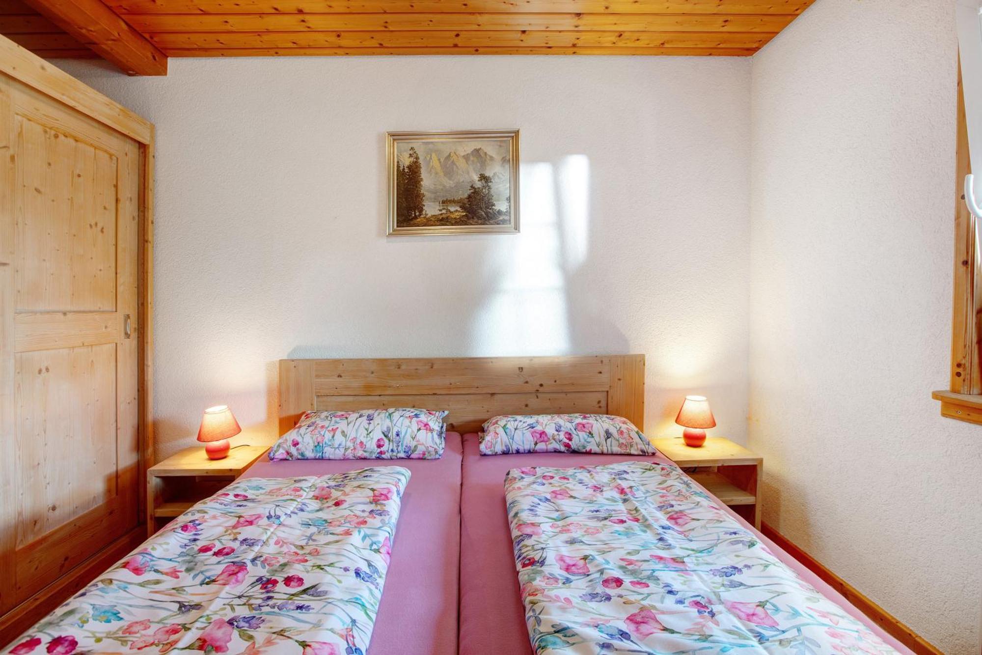 Dachsberg im SchwarzwaldHaus Schlageter公寓 外观 照片