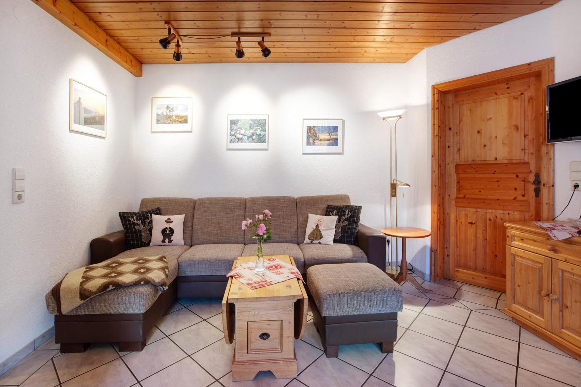 Dachsberg im SchwarzwaldHaus Schlageter公寓 外观 照片