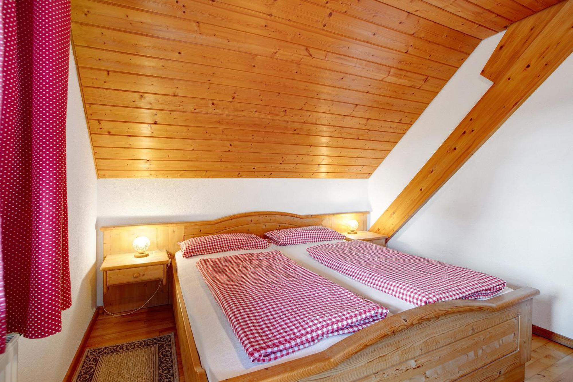 Dachsberg im SchwarzwaldHaus Schlageter公寓 外观 照片