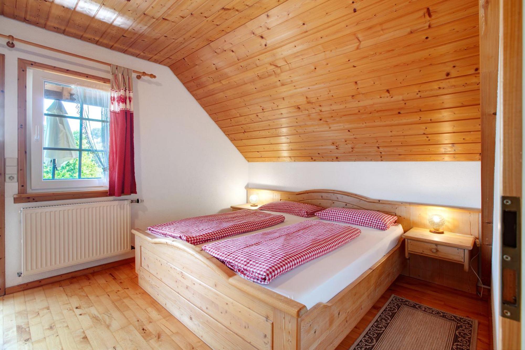 Dachsberg im SchwarzwaldHaus Schlageter公寓 外观 照片