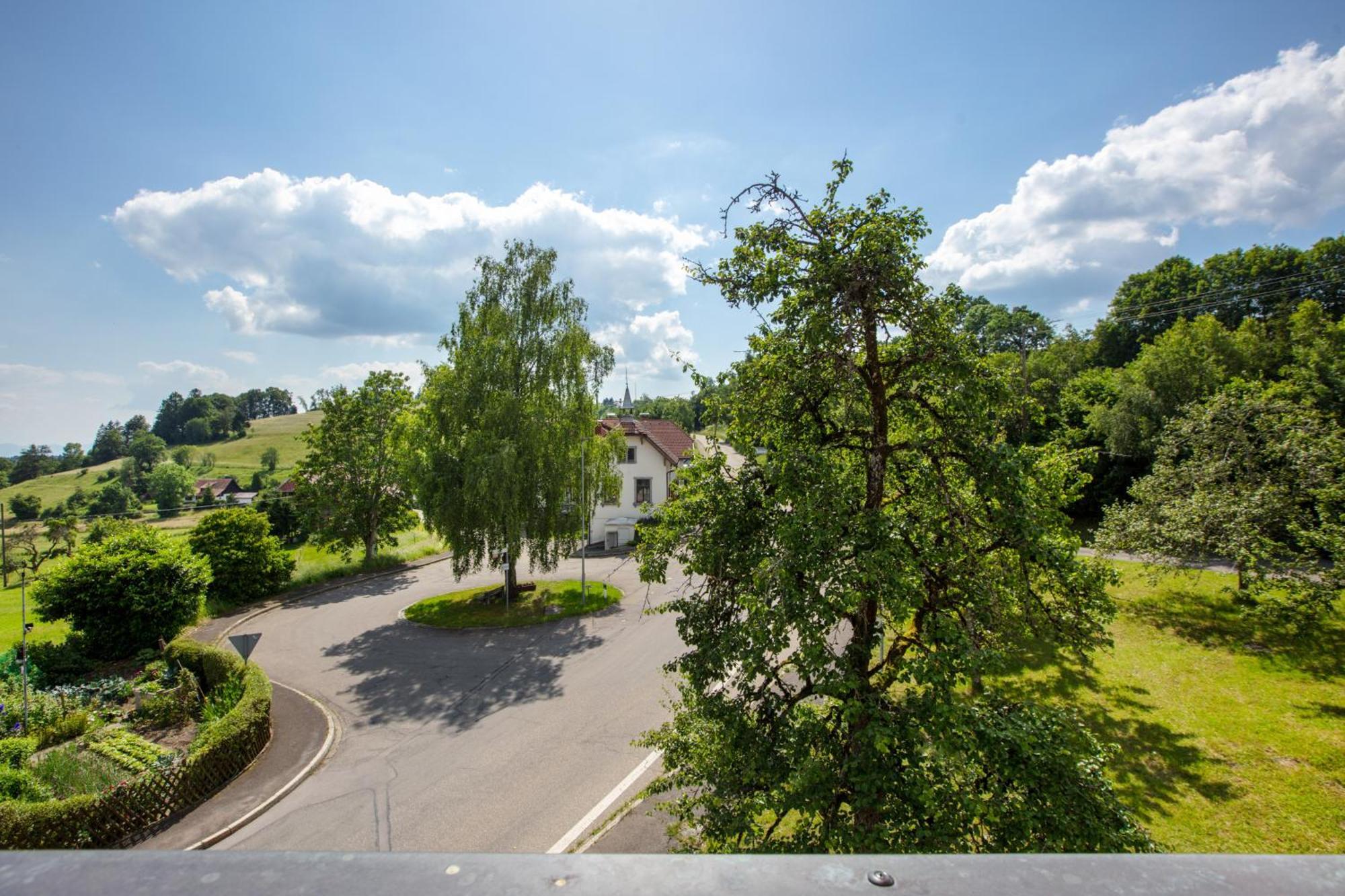 Dachsberg im SchwarzwaldHaus Schlageter公寓 外观 照片