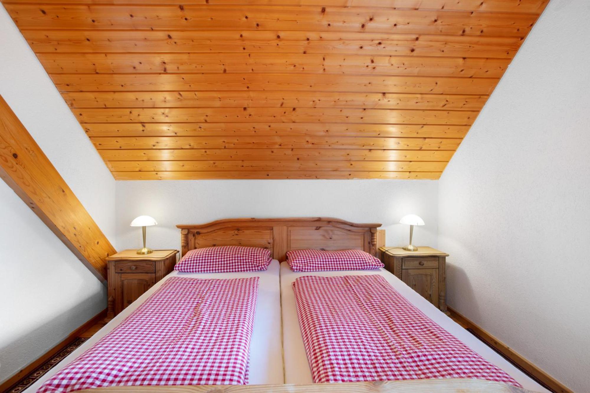 Dachsberg im SchwarzwaldHaus Schlageter公寓 外观 照片
