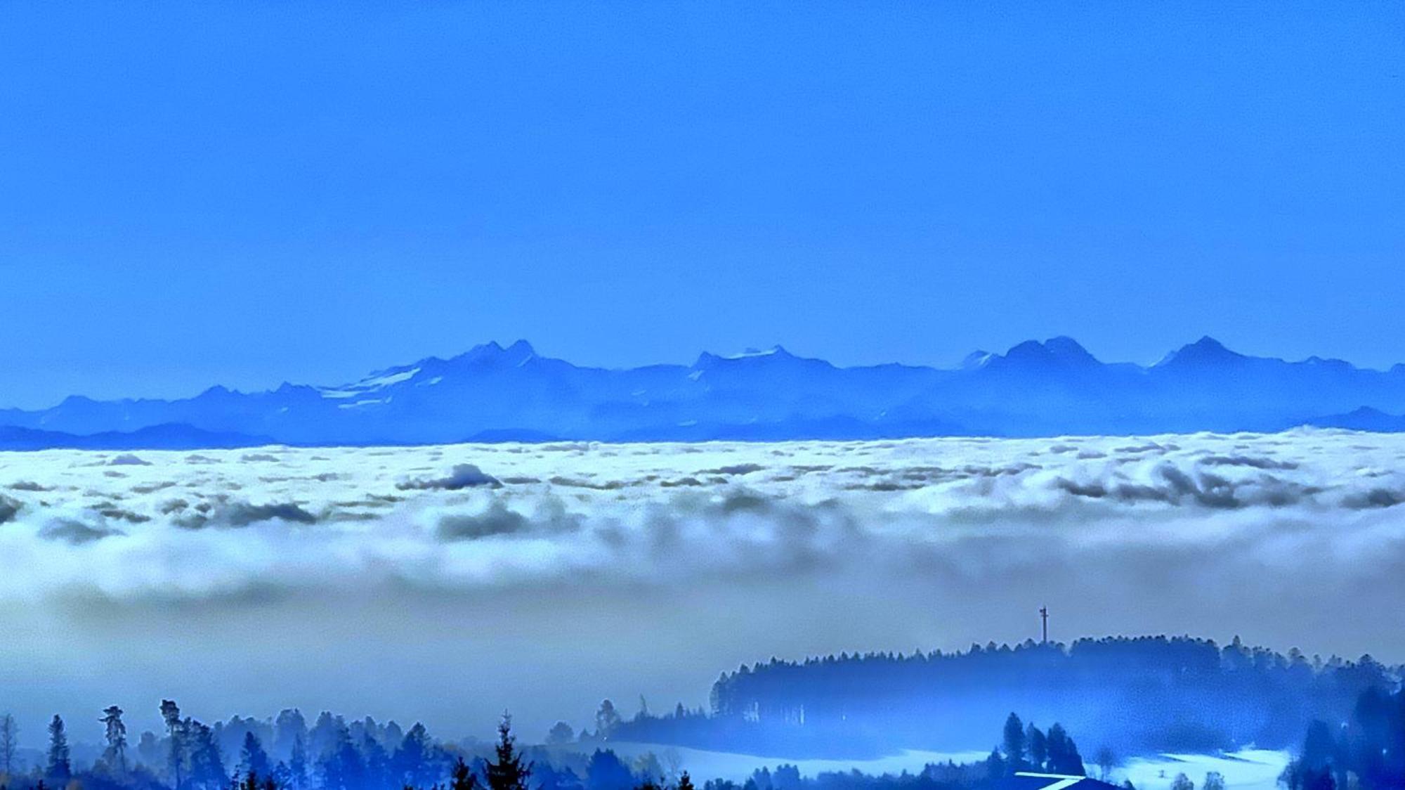 Dachsberg im SchwarzwaldHaus Schlageter公寓 外观 照片