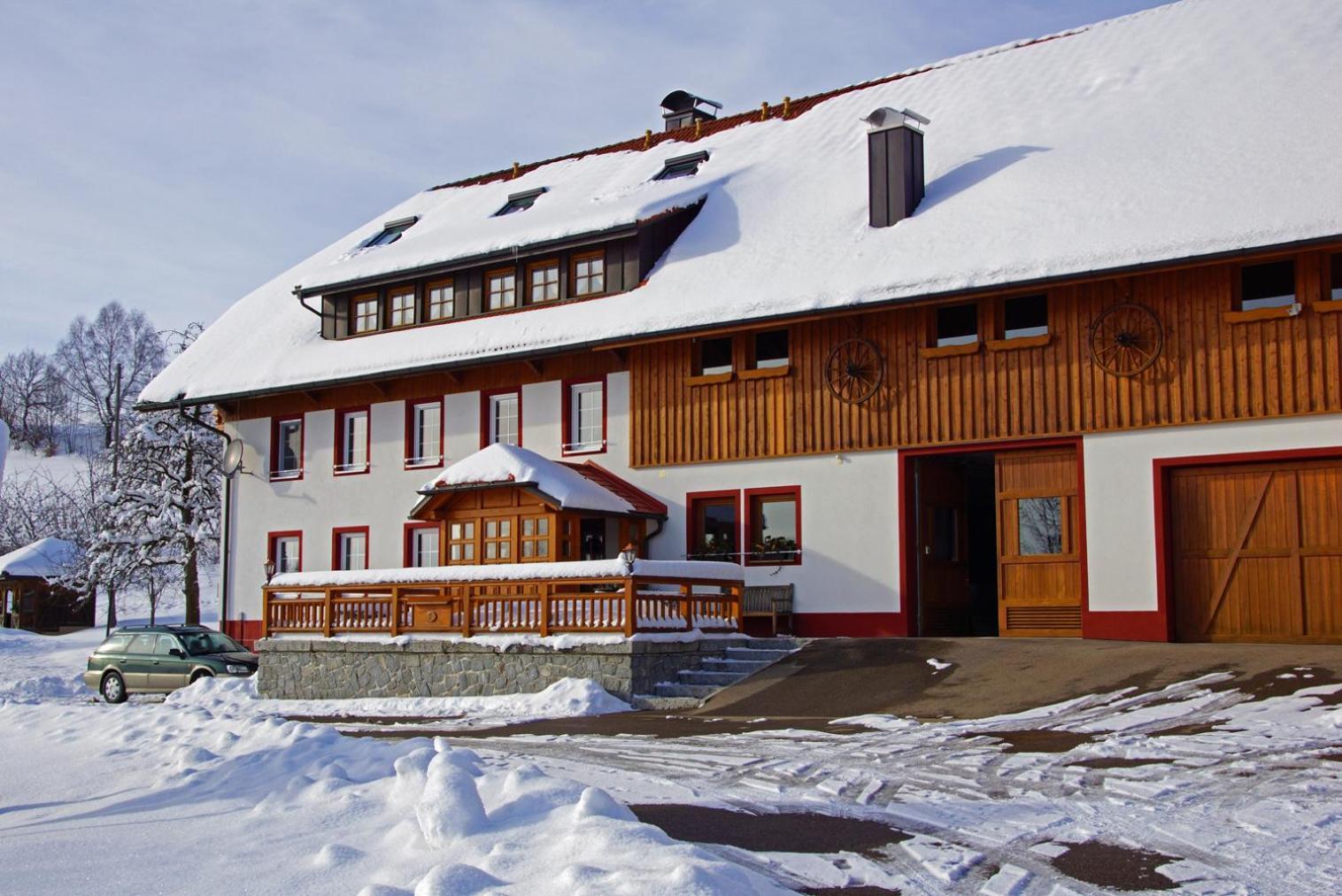 Dachsberg im SchwarzwaldHaus Schlageter公寓 外观 照片