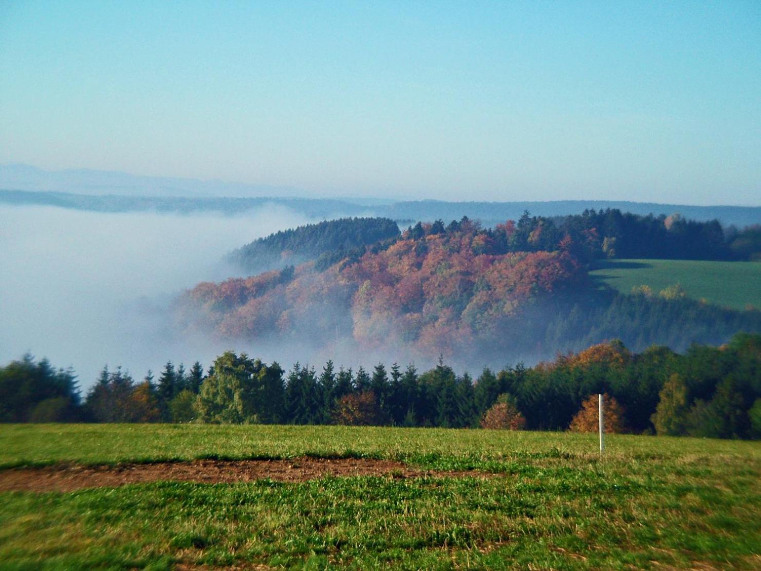 Dachsberg im SchwarzwaldHaus Schlageter公寓 外观 照片
