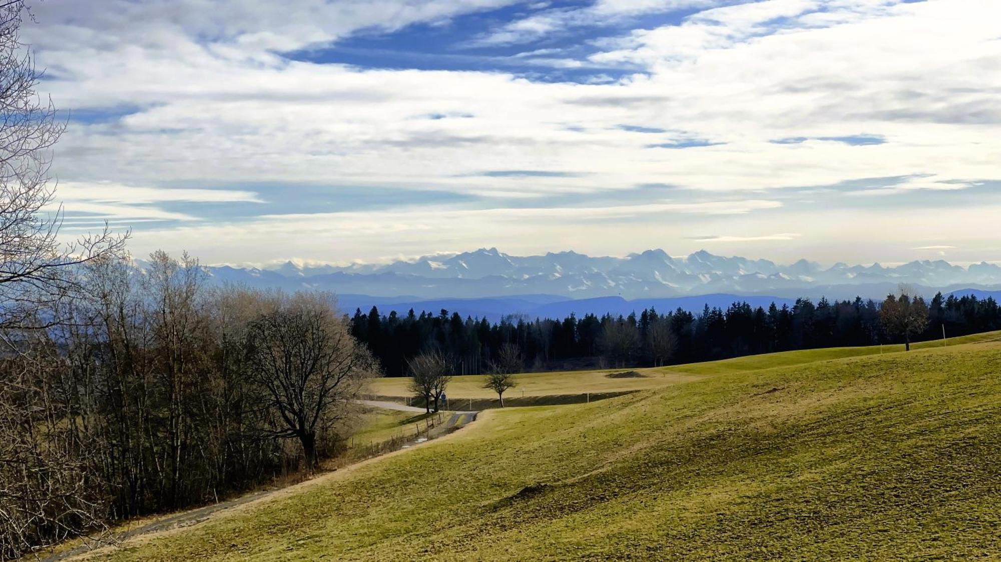 Dachsberg im SchwarzwaldHaus Schlageter公寓 外观 照片