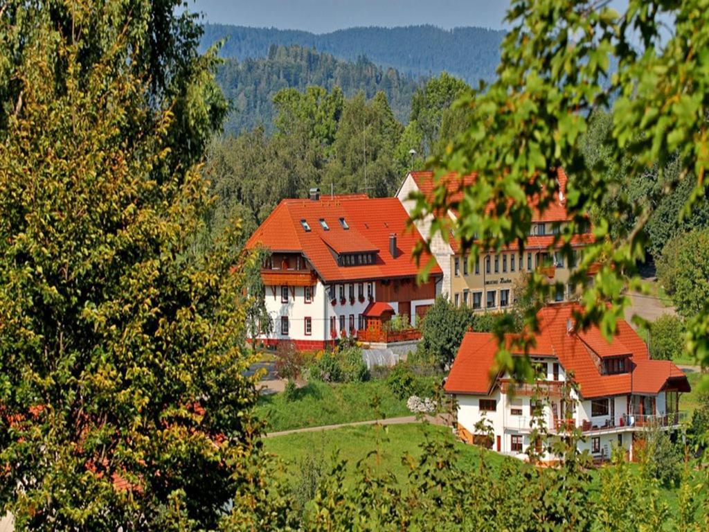 Dachsberg im SchwarzwaldHaus Schlageter公寓 外观 照片